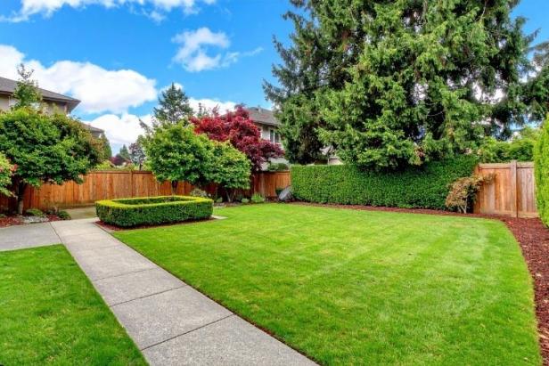 Bahçeniz İçin Doğru Çimlendirme Yöntemleri