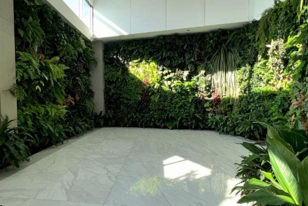 Dikey Bahçeler: Modern Mekanlarda Yeşil Dokunuş